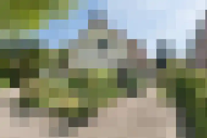 Traaij 220 Driebergen-Rijsenburg thumbnail 52