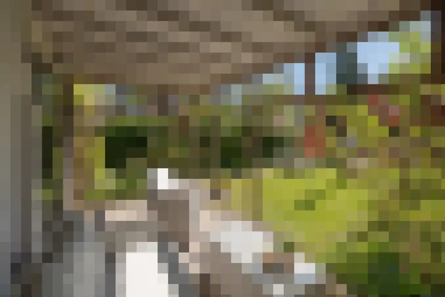 Traaij 242 Driebergen-Rijsenburg thumbnail 40