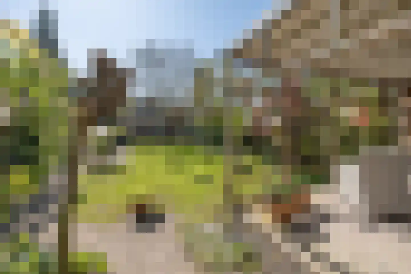 Traaij 242 Driebergen-Rijsenburg thumbnail 42