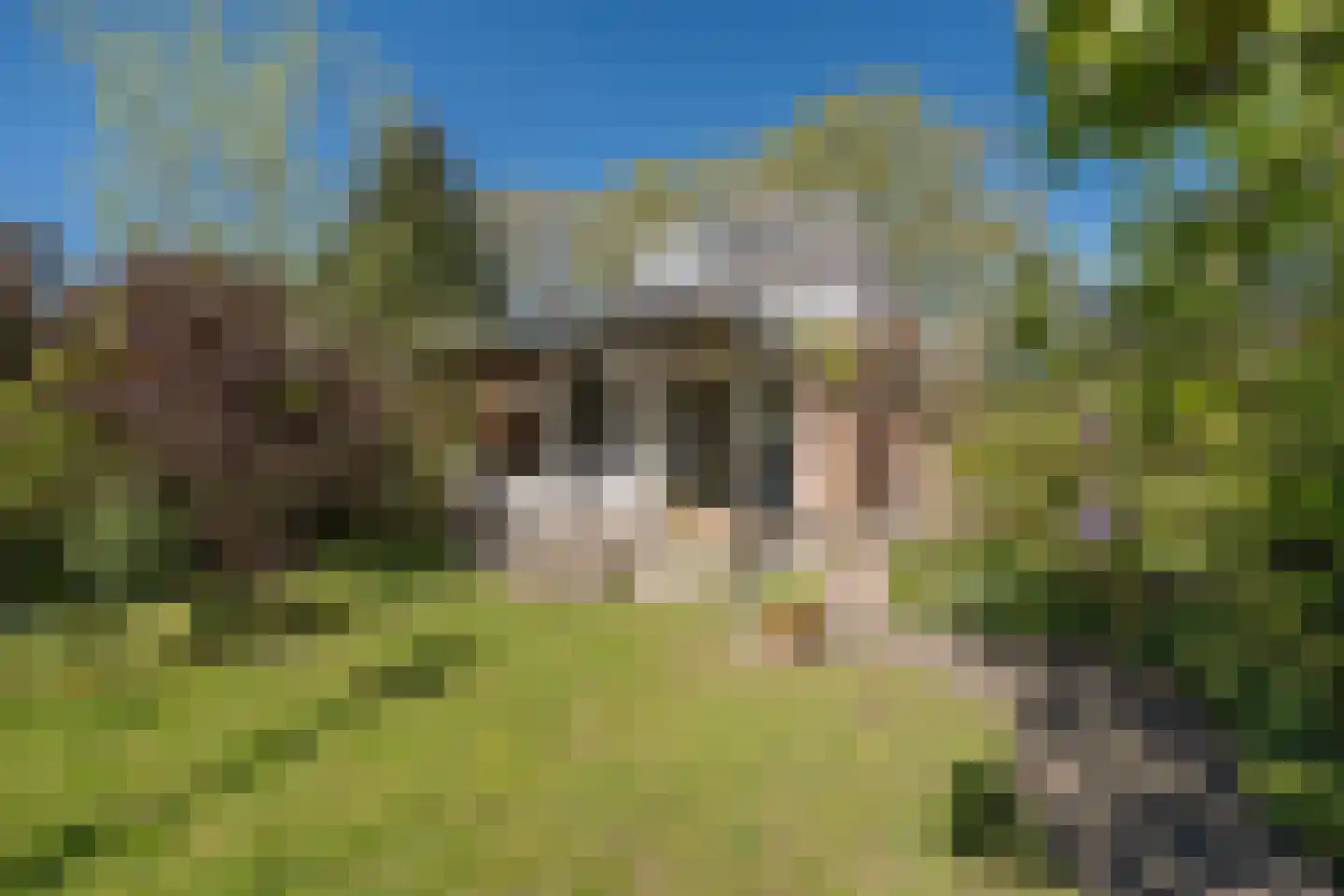 Traaij 242 Driebergen-Rijsenburg thumbnail 44