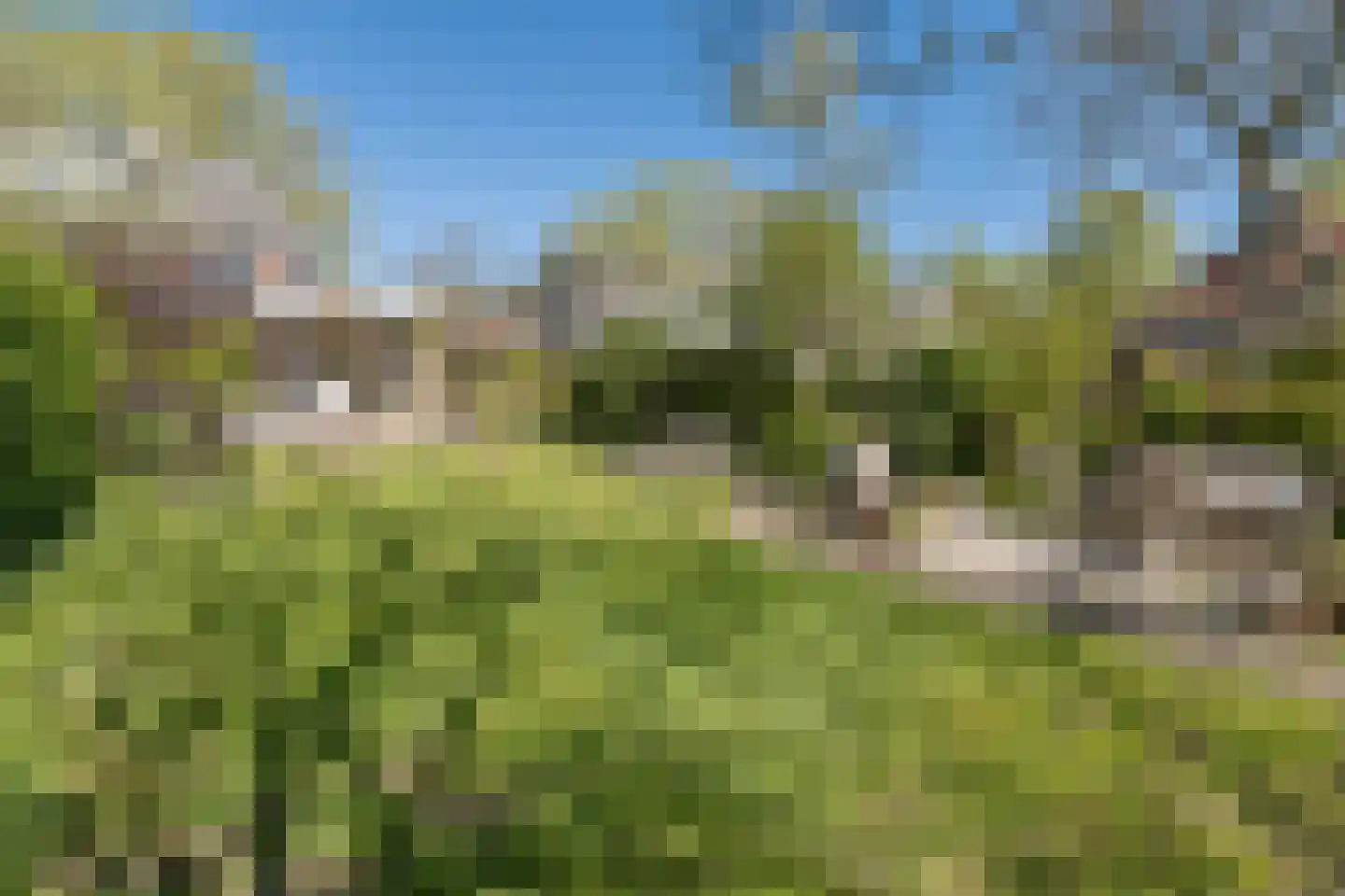 Traaij 242 Driebergen-Rijsenburg thumbnail 46