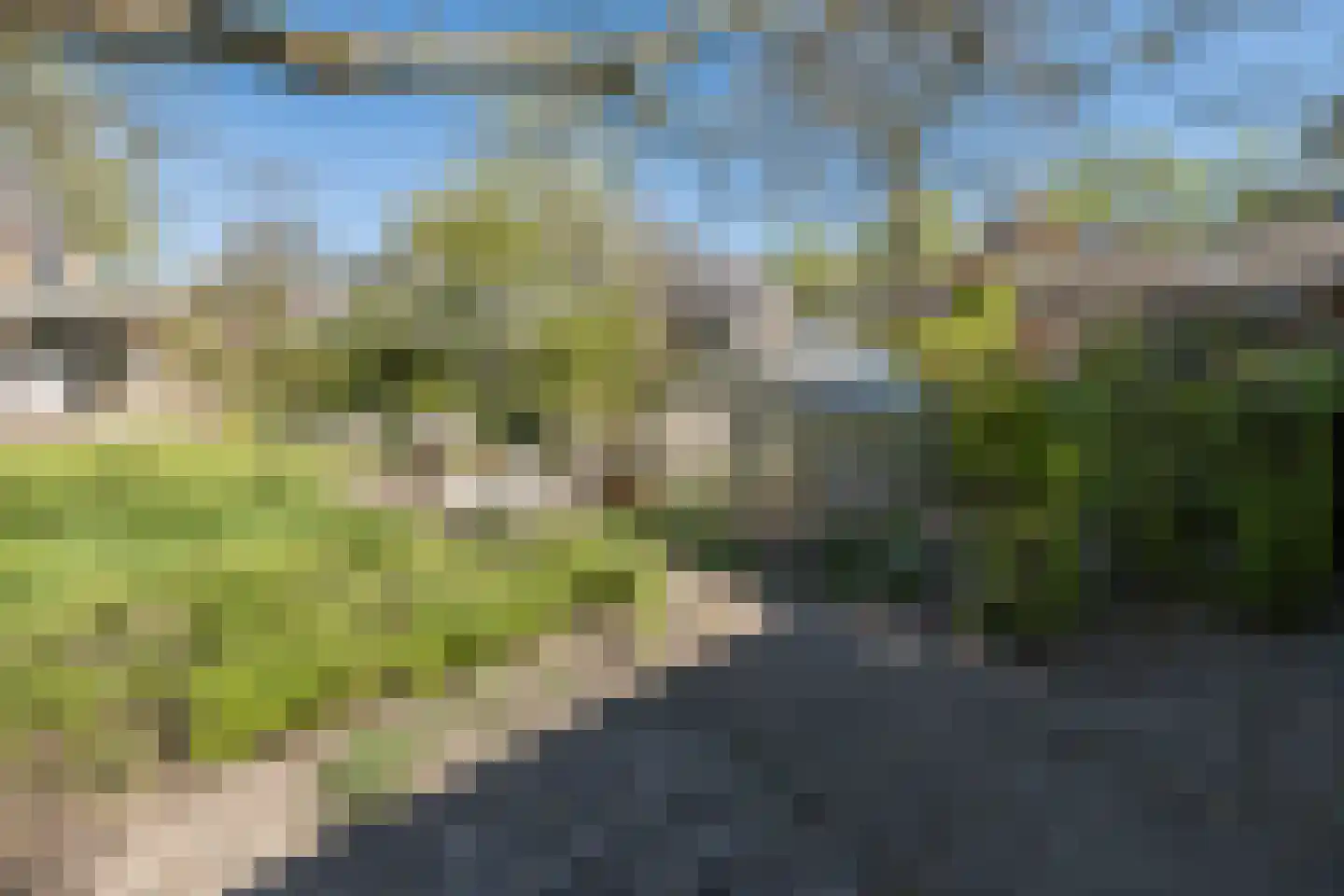 Traaij 242 Driebergen-Rijsenburg thumbnail 49