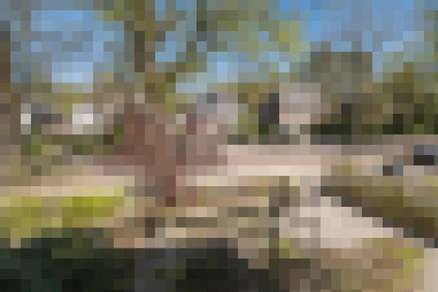 Traaij 242 Driebergen-Rijsenburg thumbnail 52