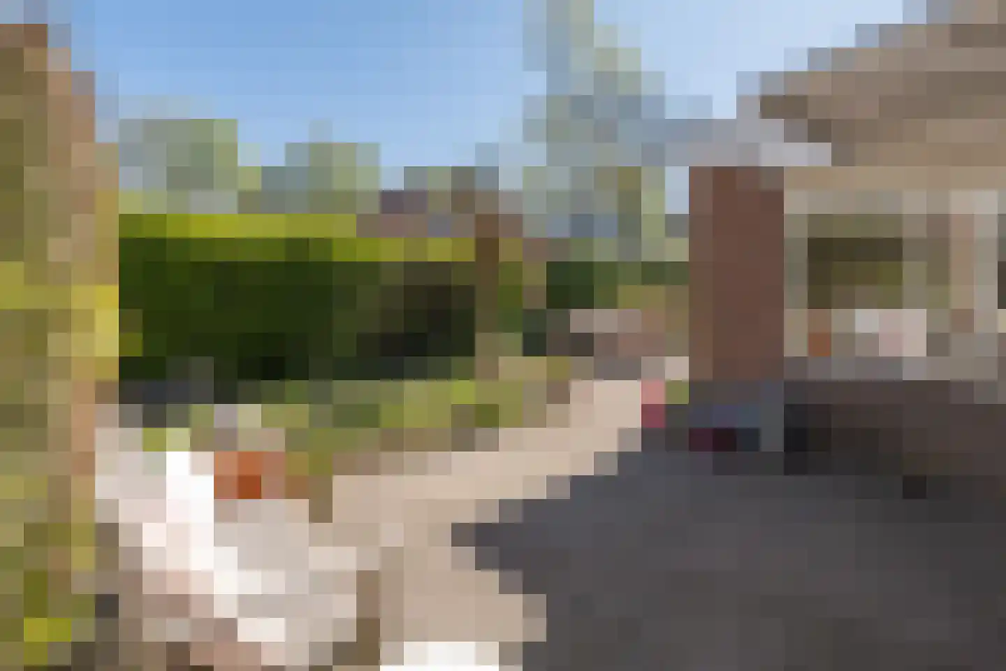 Traaij 242 Driebergen-Rijsenburg thumbnail 53