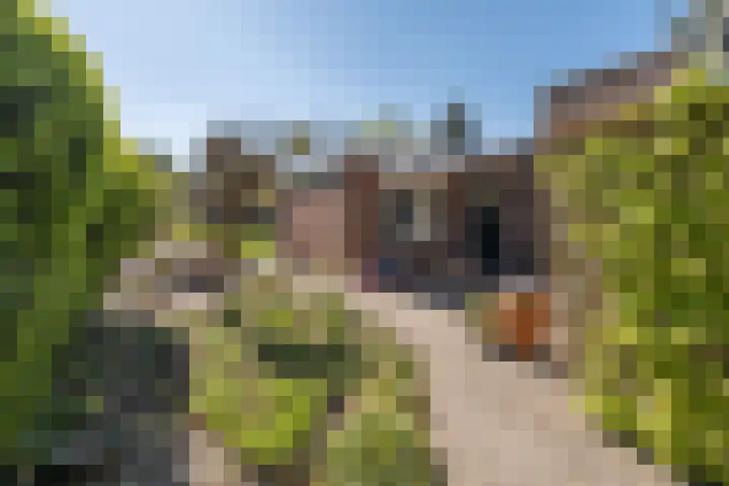 Traaij 242 Driebergen-Rijsenburg thumbnail 54