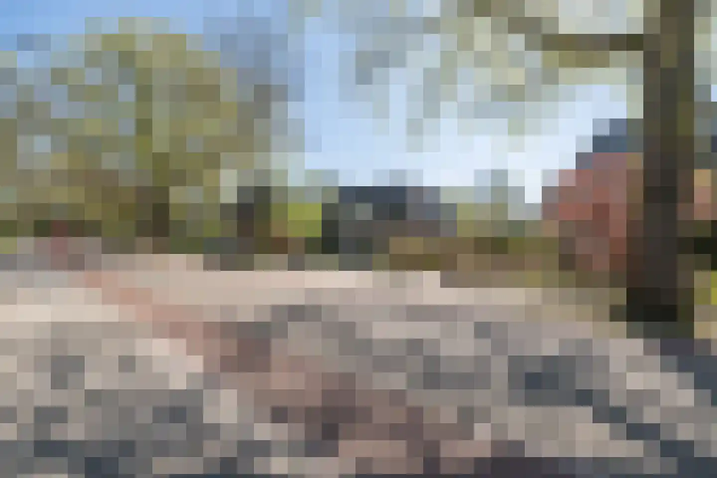 Traaij 242 Driebergen-Rijsenburg thumbnail 58
