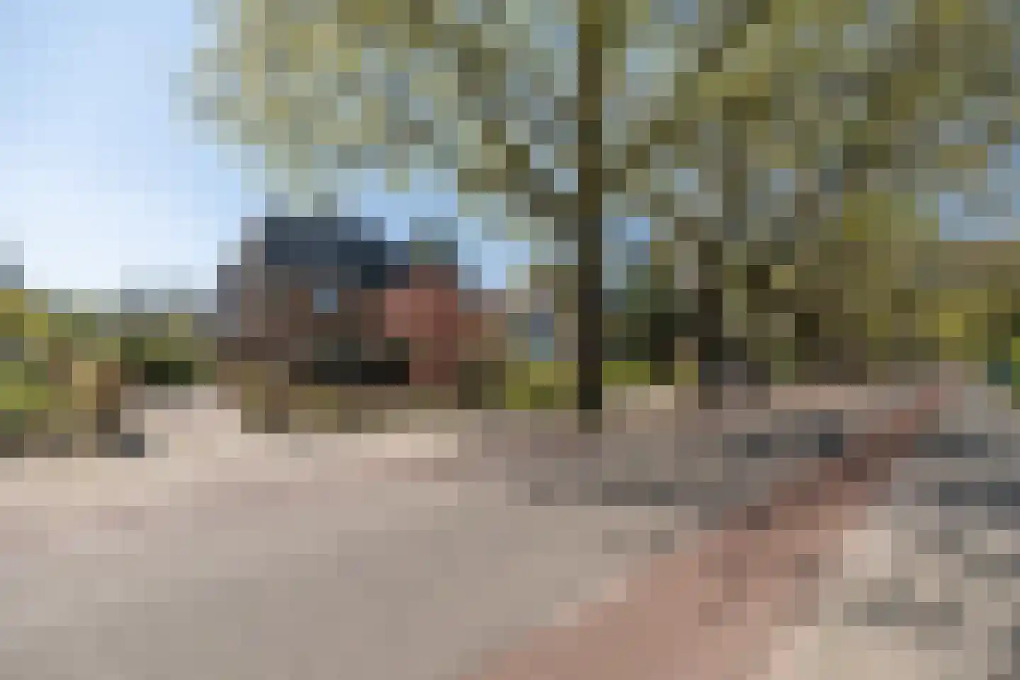 Traaij 242 Driebergen-Rijsenburg thumbnail 59