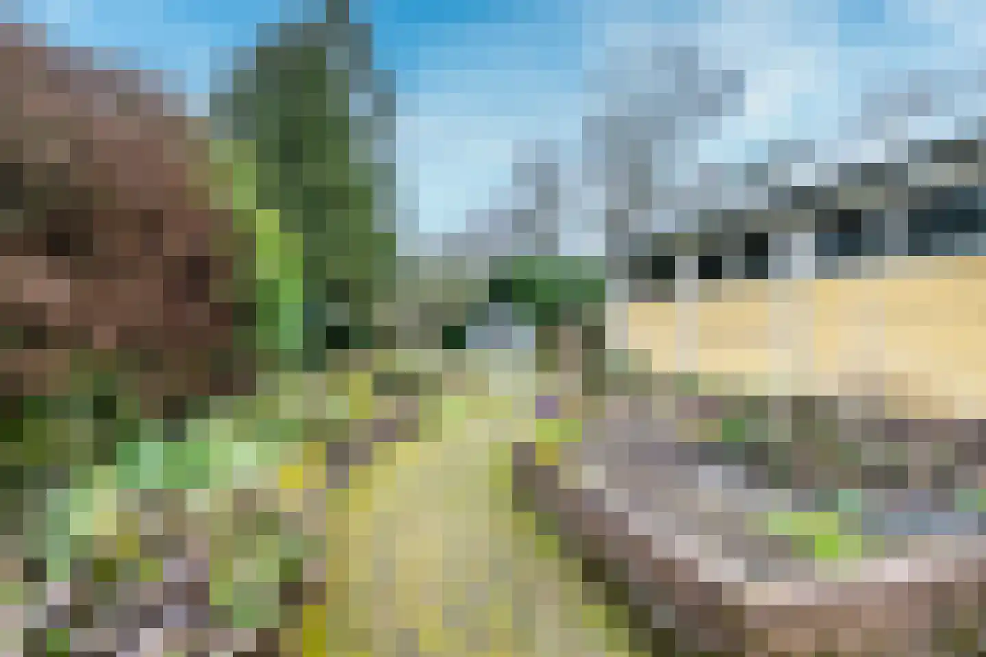 Traaij 243 Driebergen-Rijsenburg thumbnail 26