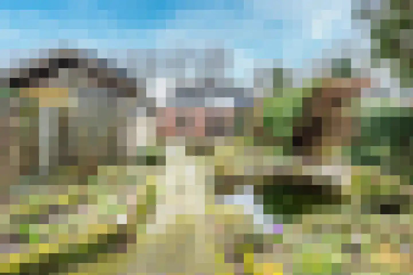 Traaij 243 Driebergen-Rijsenburg thumbnail 30