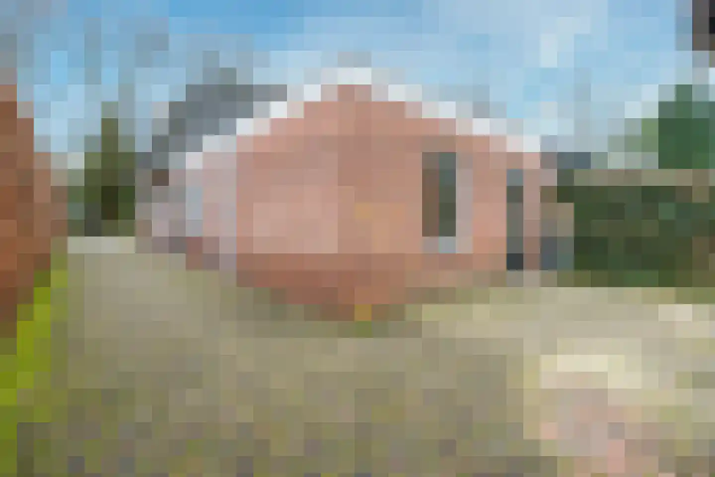 Traaij 243 Driebergen-Rijsenburg thumbnail 31