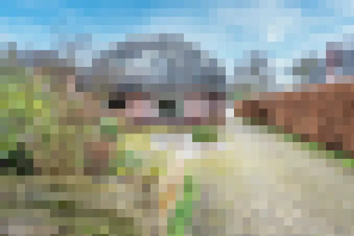 Traaij 243 Driebergen-Rijsenburg thumbnail 34