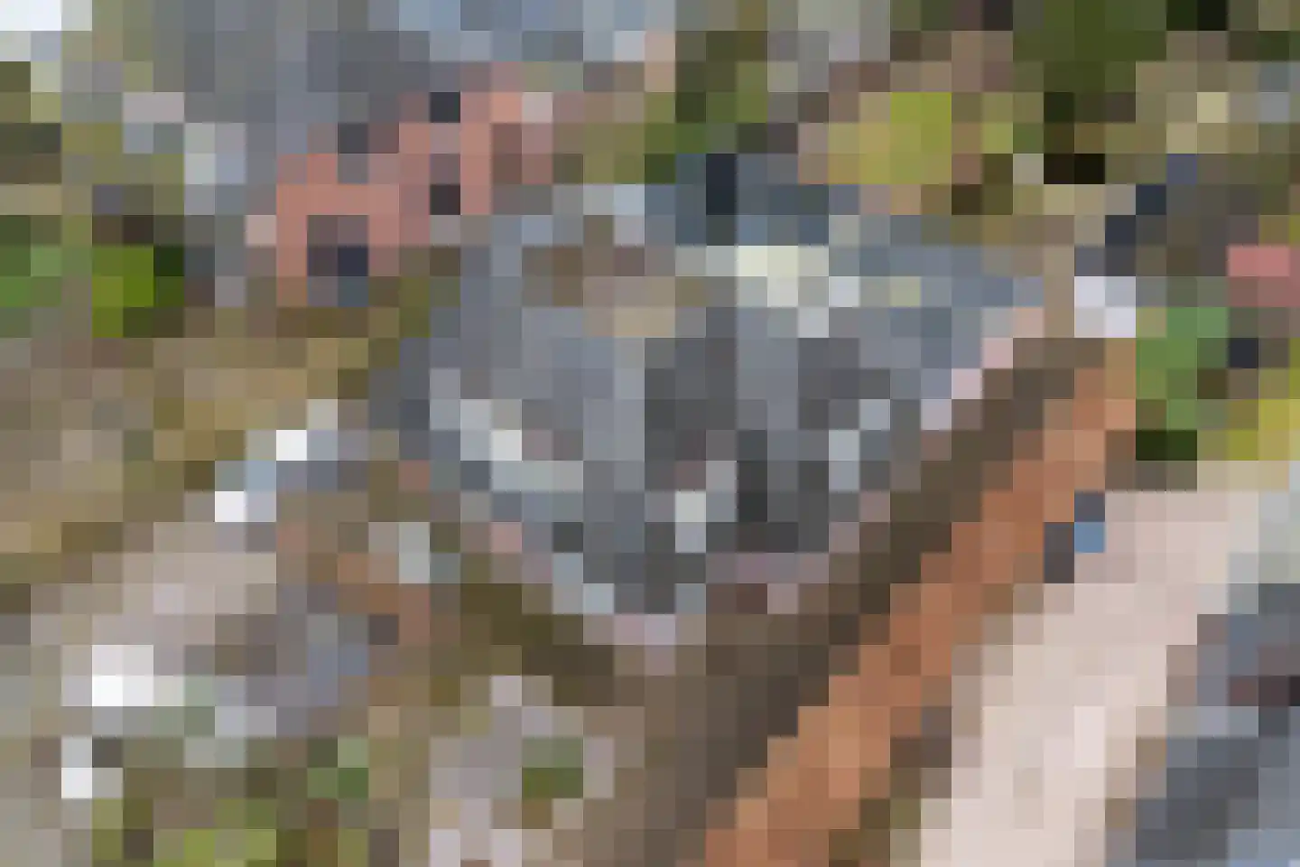 Traaij 243 Driebergen-Rijsenburg thumbnail 35