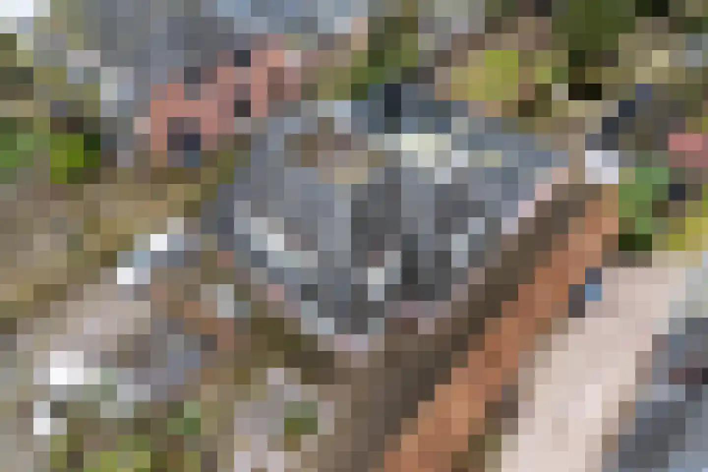 Traaij 243 Driebergen-Rijsenburg thumbnail 35
