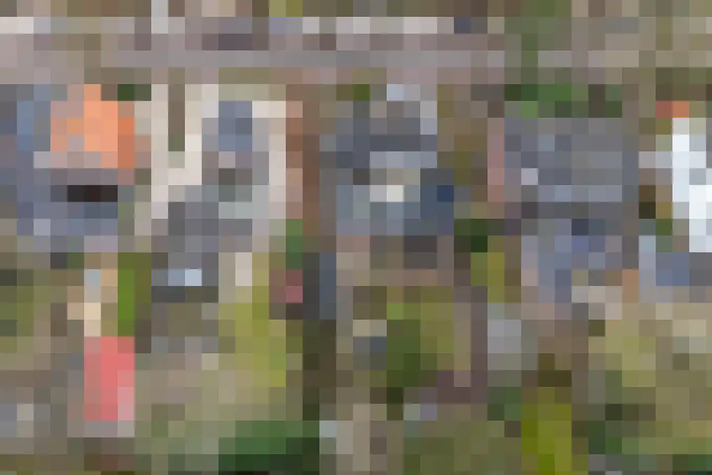 Traaij 243 Driebergen-Rijsenburg thumbnail 37