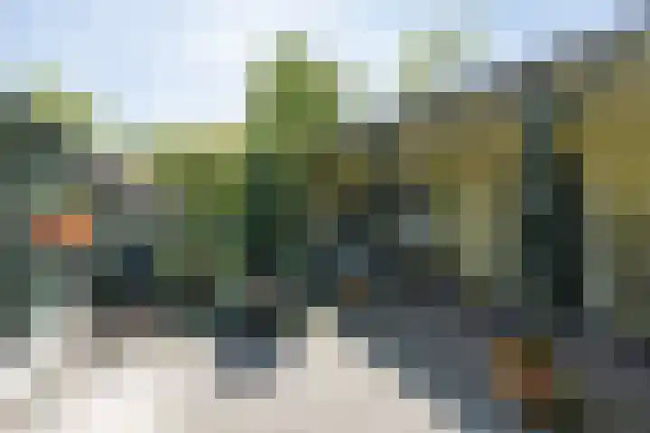 Traaij 246 Driebergen-Rijsenburg thumbnail 27