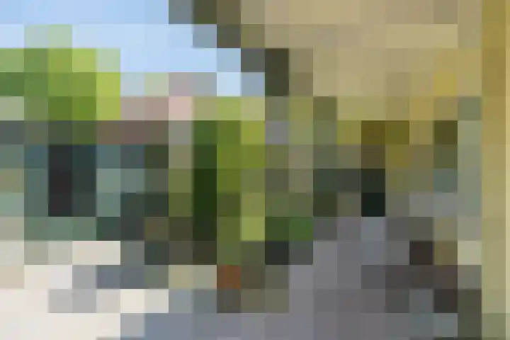 Traaij 246 Driebergen-Rijsenburg thumbnail 28