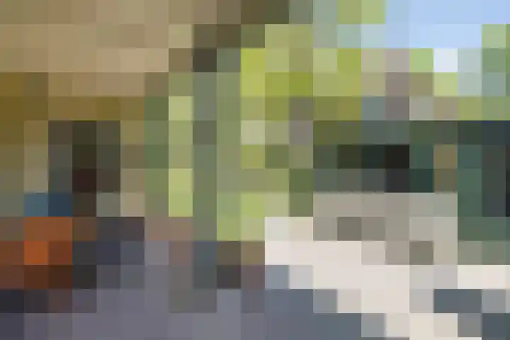 Traaij 246 Driebergen-Rijsenburg thumbnail 30