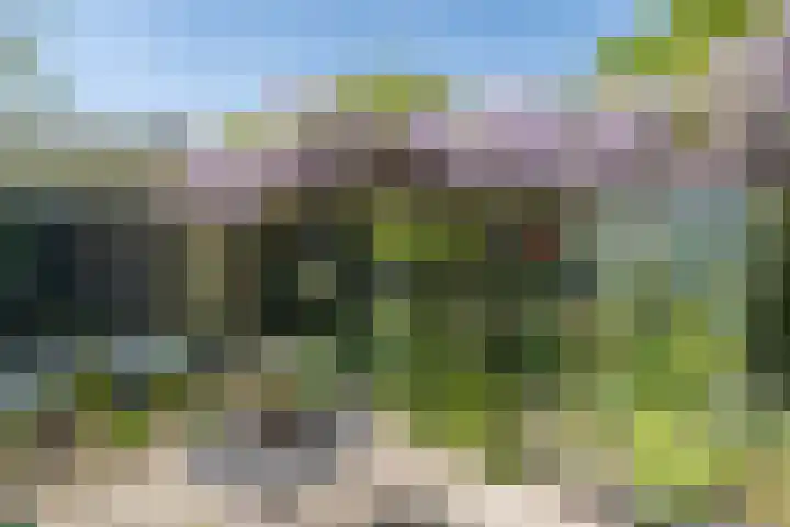 Traaij 246 Driebergen-Rijsenburg thumbnail 32