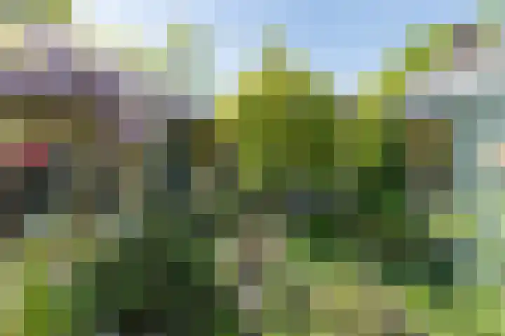 Traaij 246 Driebergen-Rijsenburg thumbnail 35