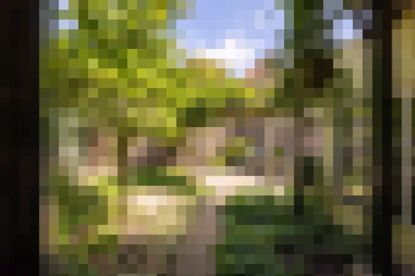 Traaij 246 Driebergen-Rijsenburg thumbnail 35