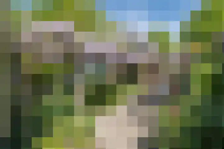 Traaij 246 Driebergen-Rijsenburg thumbnail 36