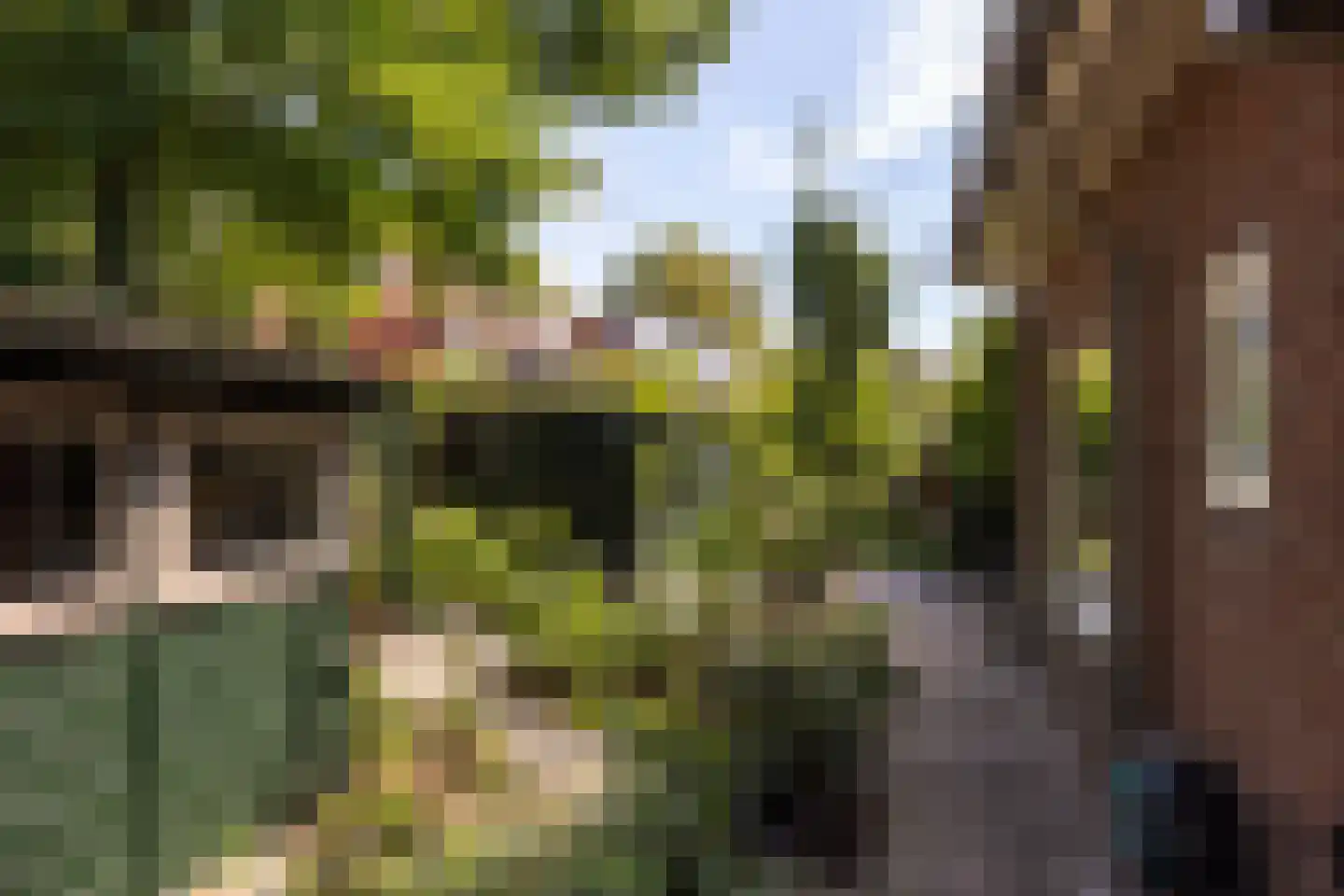 Traaij 246 Driebergen-Rijsenburg thumbnail 36