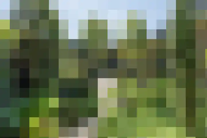 Traaij 246 Driebergen-Rijsenburg thumbnail 37