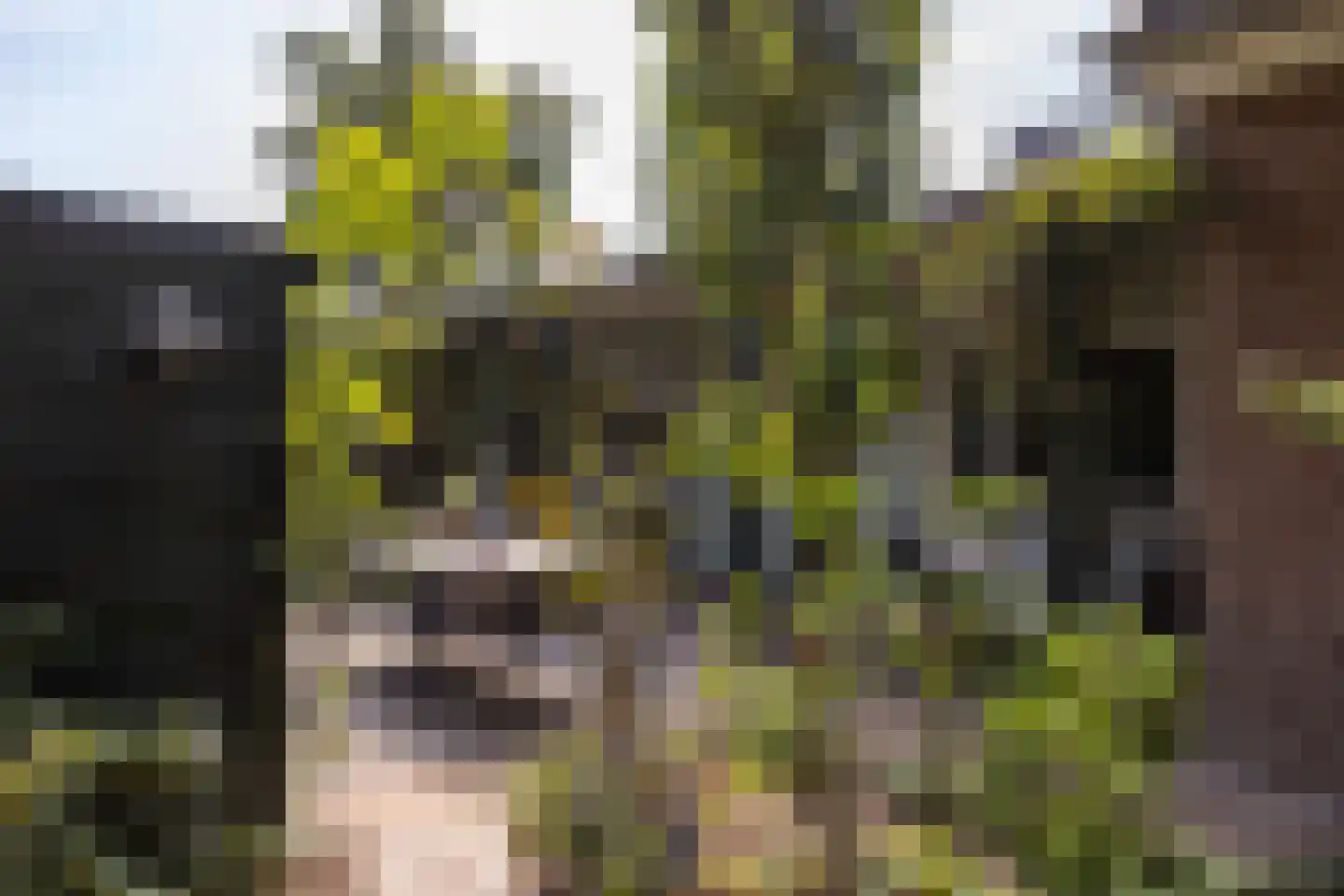 Traaij 246 Driebergen-Rijsenburg thumbnail 37