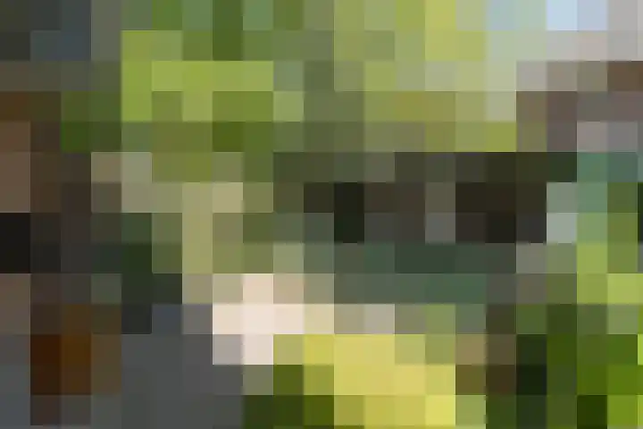 Traaij 246 Driebergen-Rijsenburg thumbnail 38