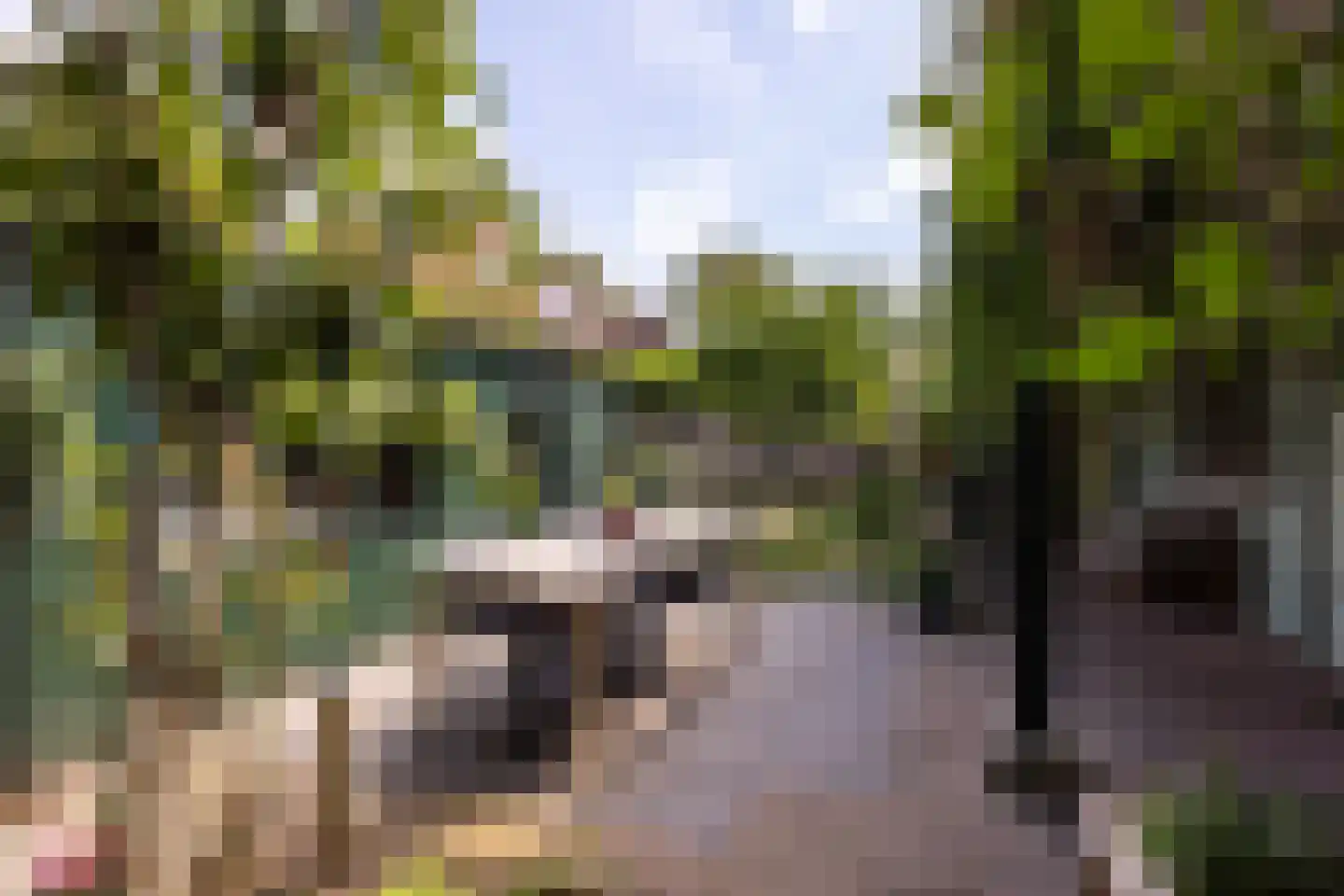 Traaij 246 Driebergen-Rijsenburg thumbnail 38