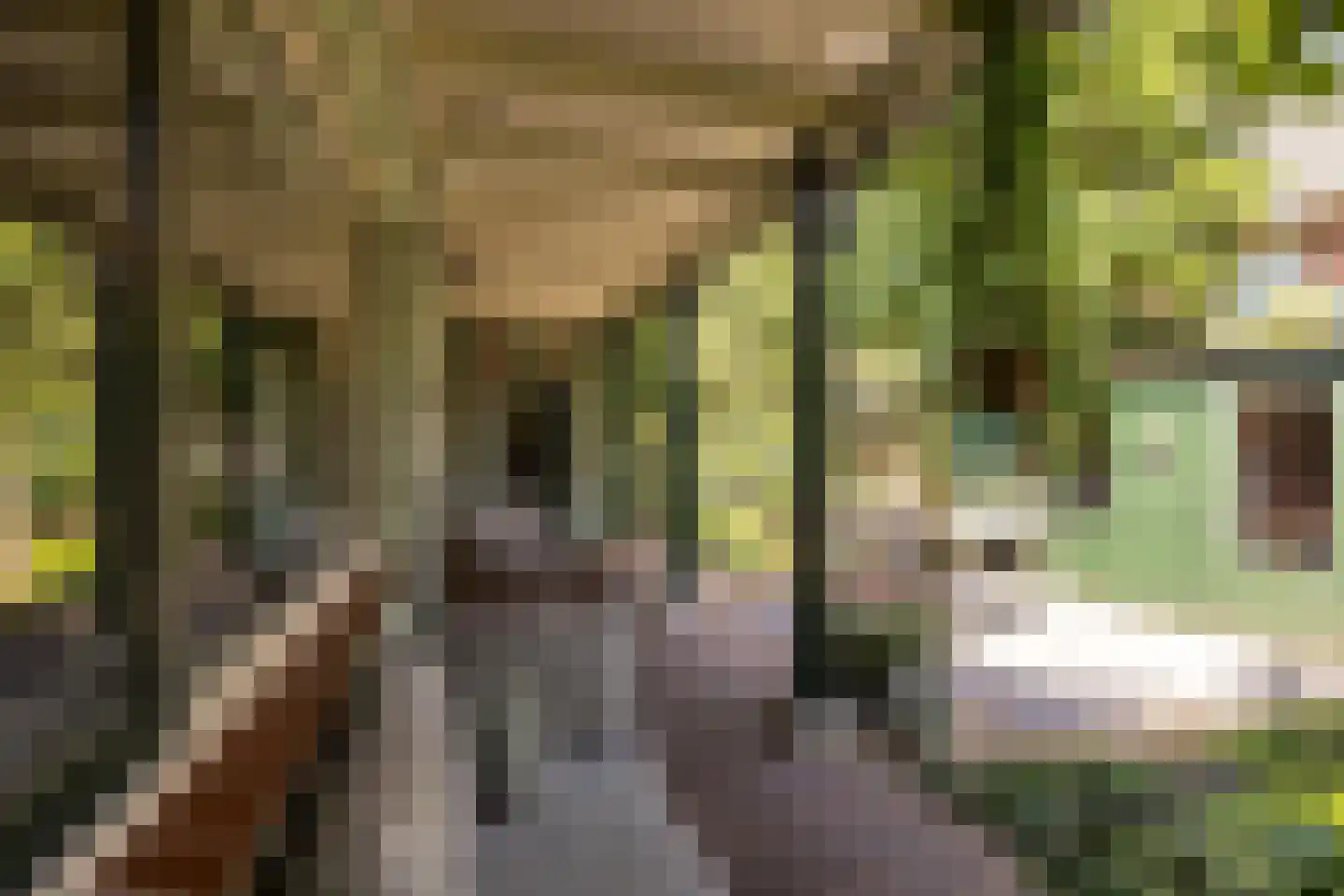 Traaij 246 Driebergen-Rijsenburg thumbnail 40