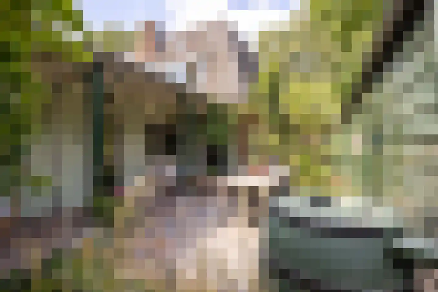 Traaij 246 Driebergen-Rijsenburg thumbnail 41