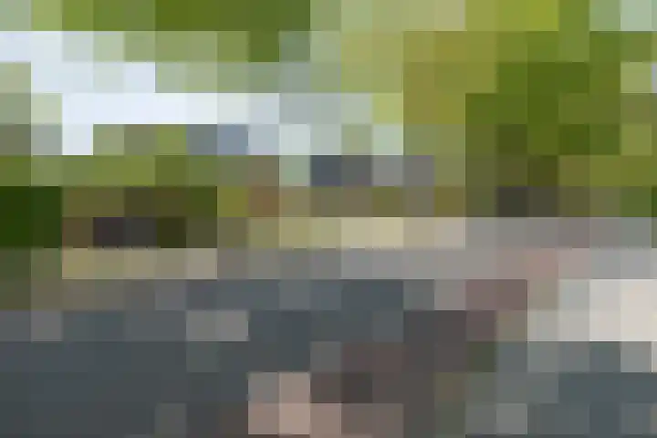 Traaij 246 Driebergen-Rijsenburg thumbnail 41