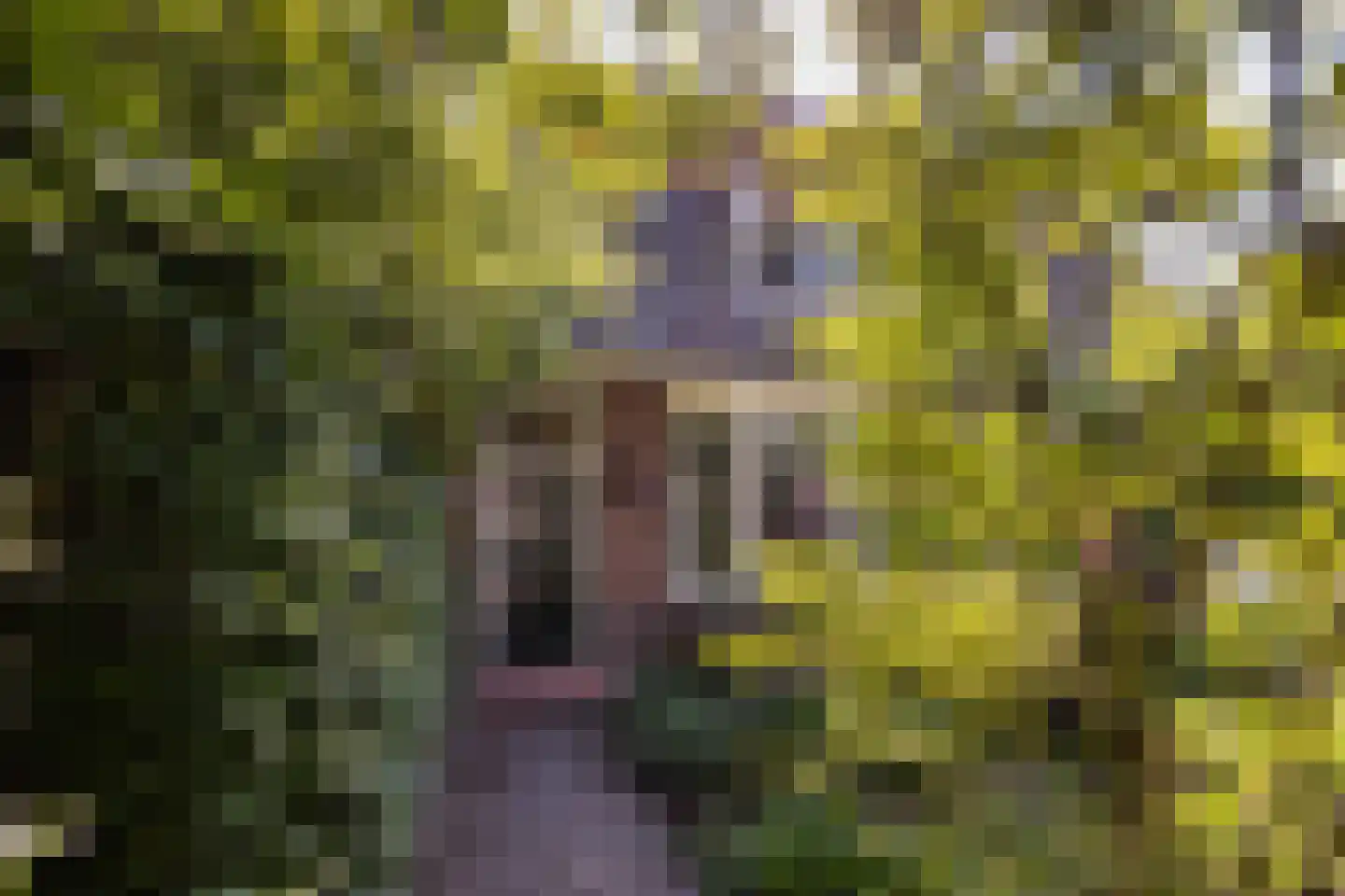 Traaij 246 Driebergen-Rijsenburg thumbnail 42