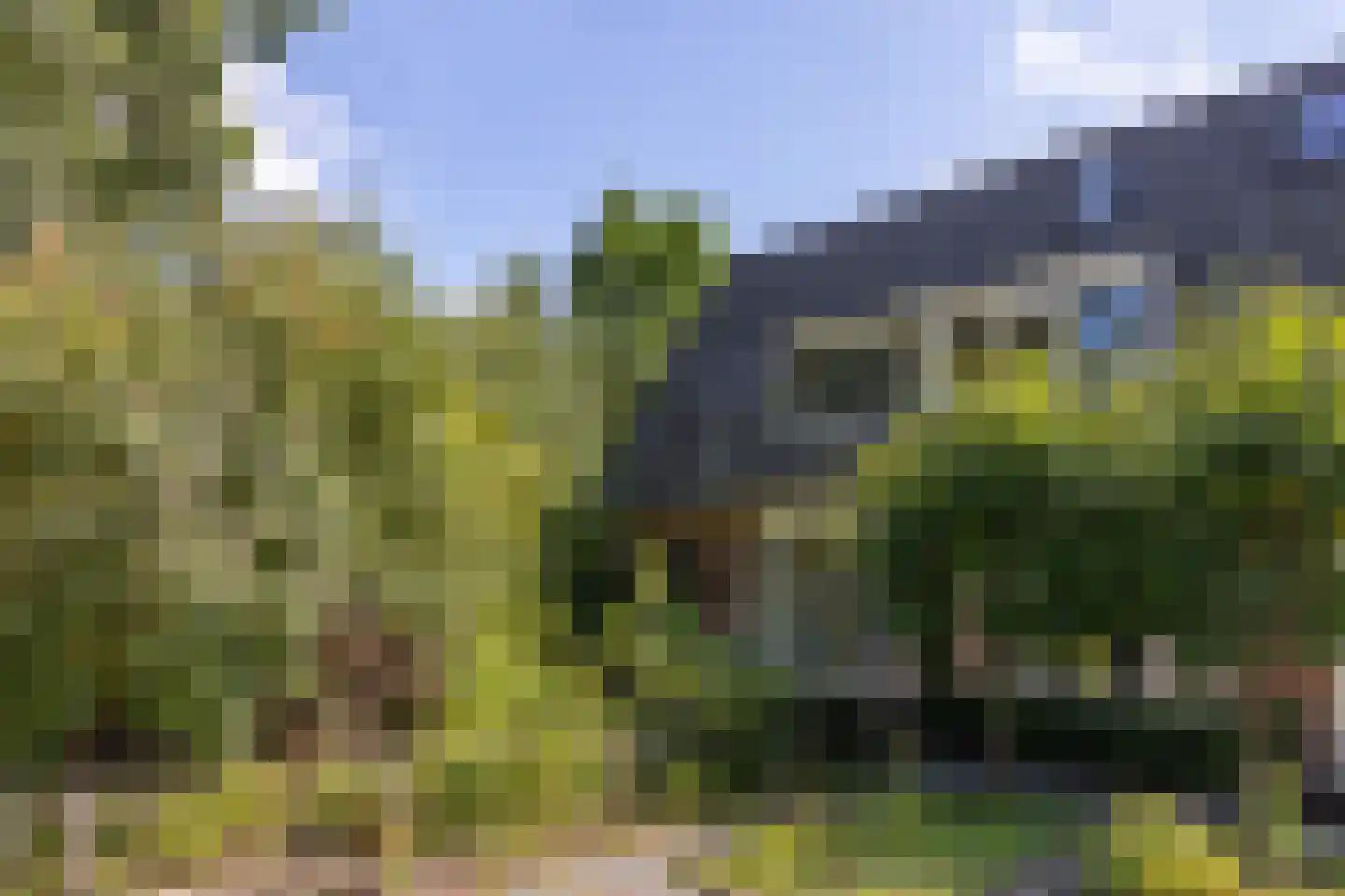 Traaij 246 Driebergen-Rijsenburg thumbnail 47