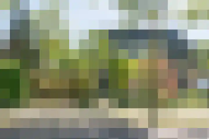Traaij 246 Driebergen-Rijsenburg thumbnail 48