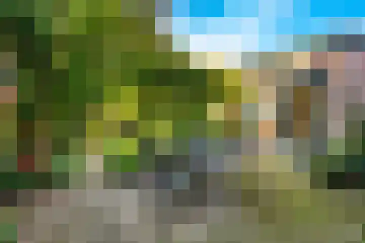 Traaij 259 Driebergen-Rijsenburg thumbnail 34