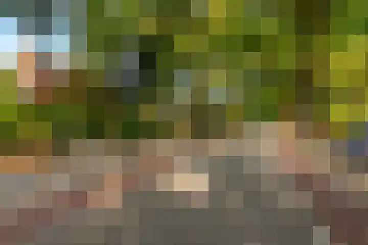 Traaij 259 Driebergen-Rijsenburg thumbnail 6