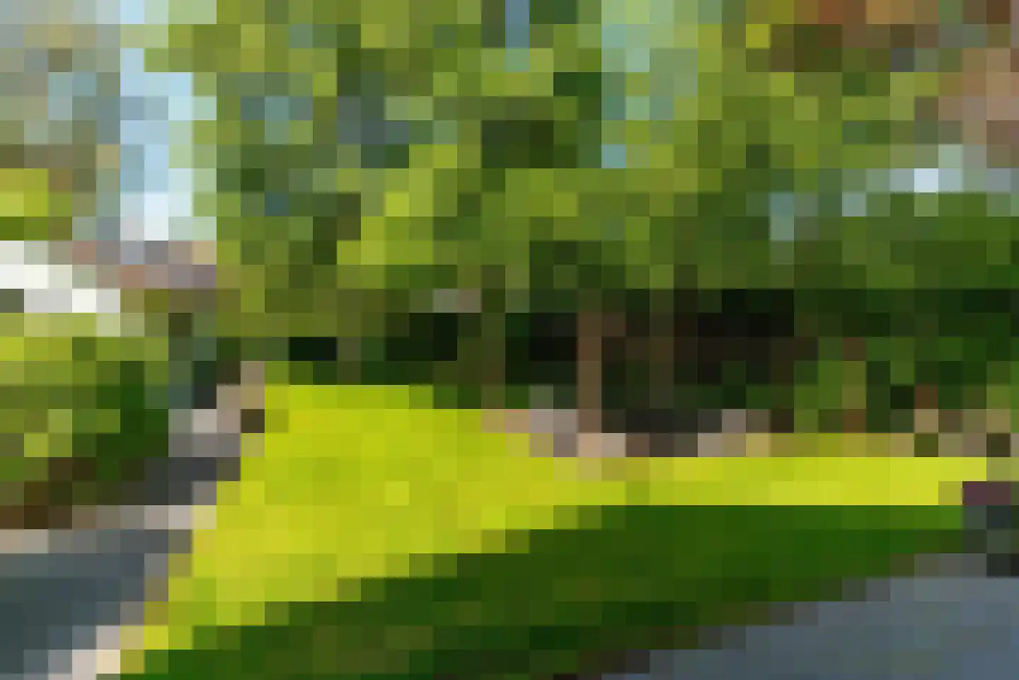 Traaij 287 Driebergen-Rijsenburg thumbnail 4