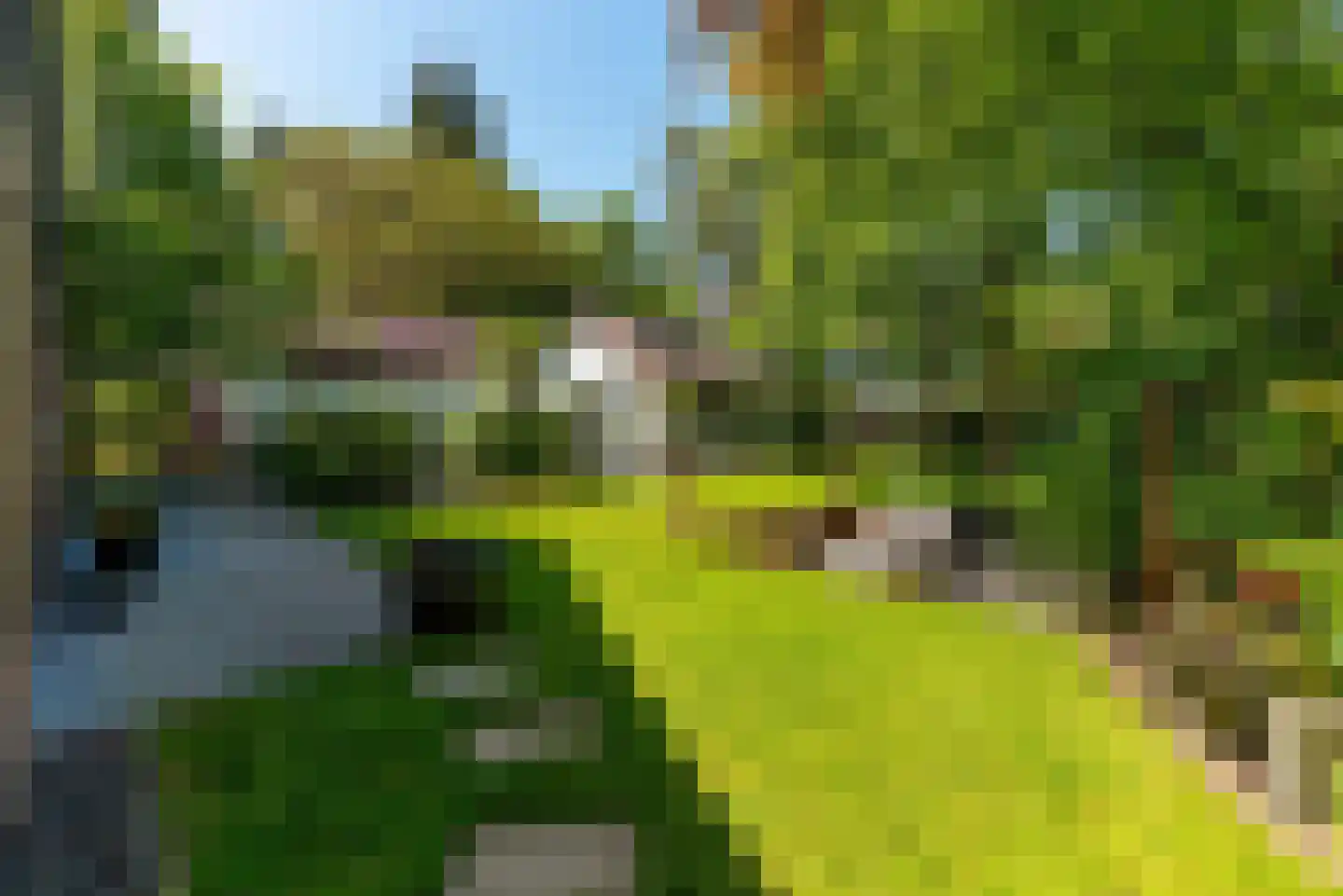 Traaij 287 Driebergen-Rijsenburg thumbnail 41