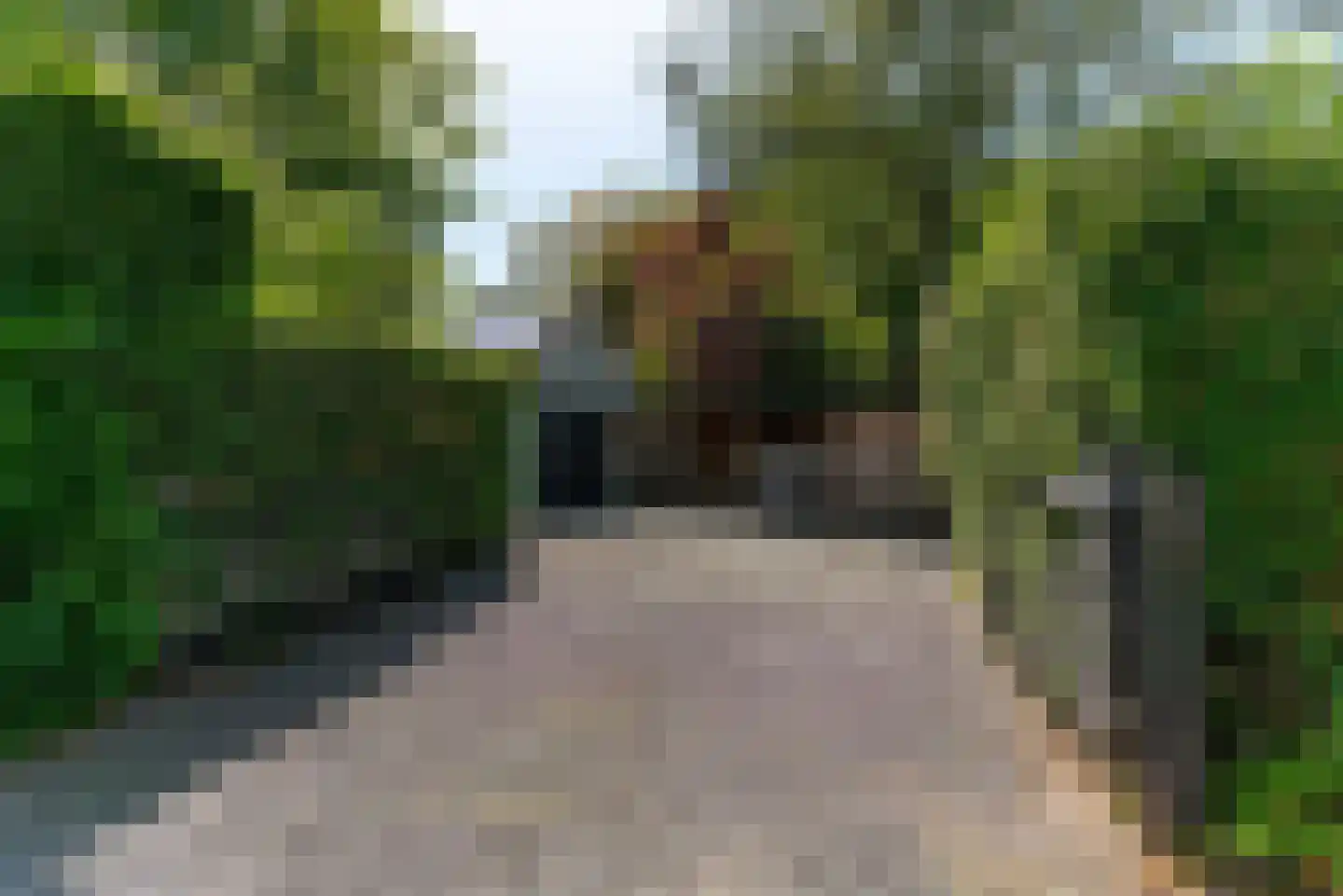 Traaij 287 Driebergen-Rijsenburg thumbnail 47