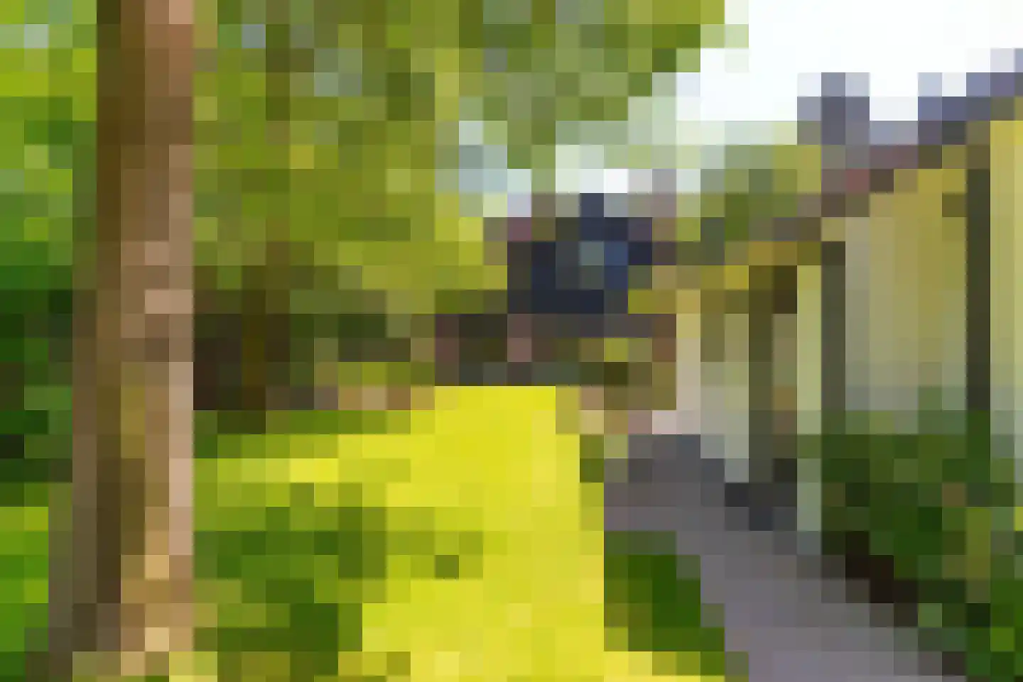 Traaij 287 Driebergen-Rijsenburg thumbnail 48