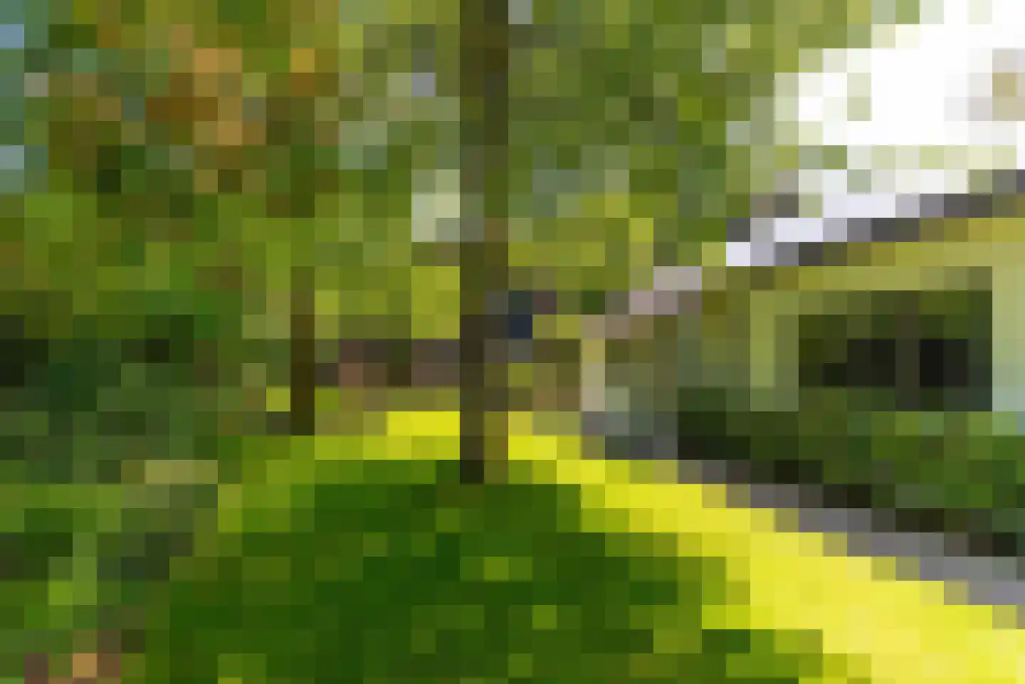 Traaij 287 Driebergen-Rijsenburg thumbnail 49