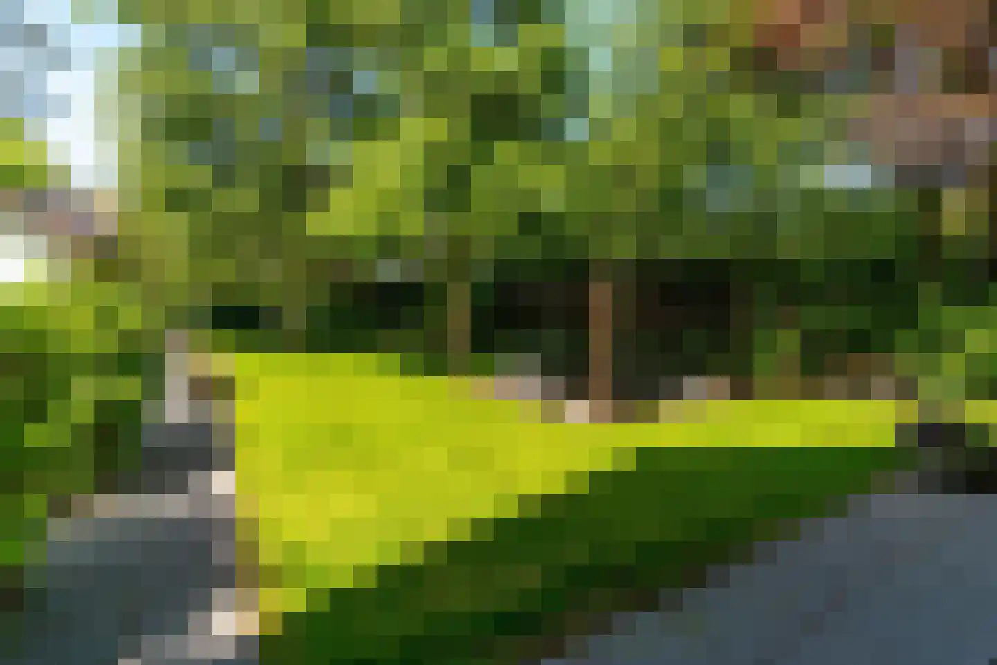 Traaij 287 Driebergen-Rijsenburg thumbnail 51