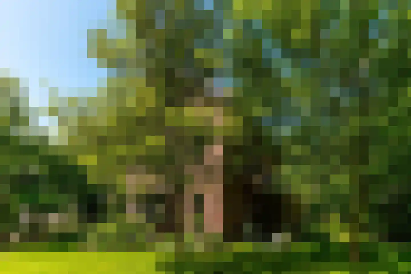 Traaij 287 Driebergen-Rijsenburg thumbnail 53
