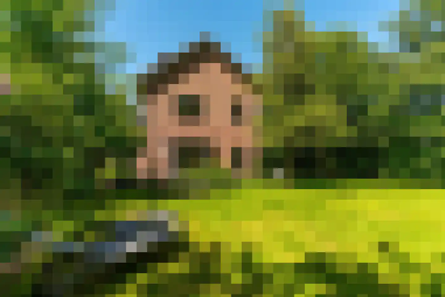 Traaij 287 Driebergen-Rijsenburg thumbnail 54
