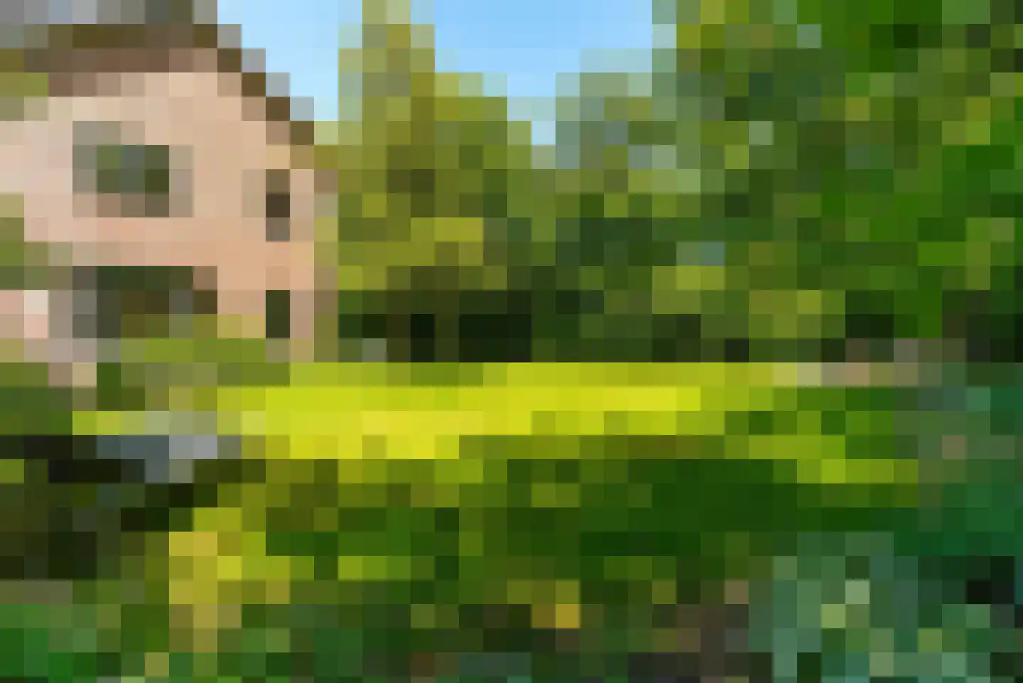 Traaij 287 Driebergen-Rijsenburg thumbnail 55