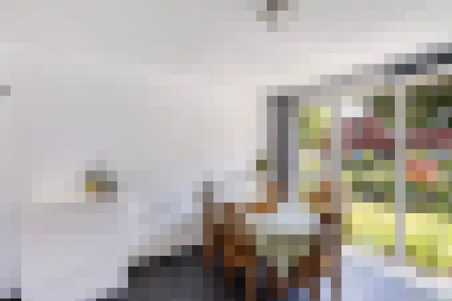 Traaipad 33 Zwolle thumbnail 12