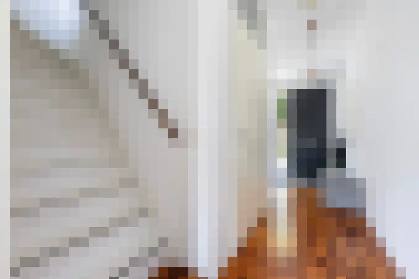 Traaipad 33 Zwolle thumbnail 17