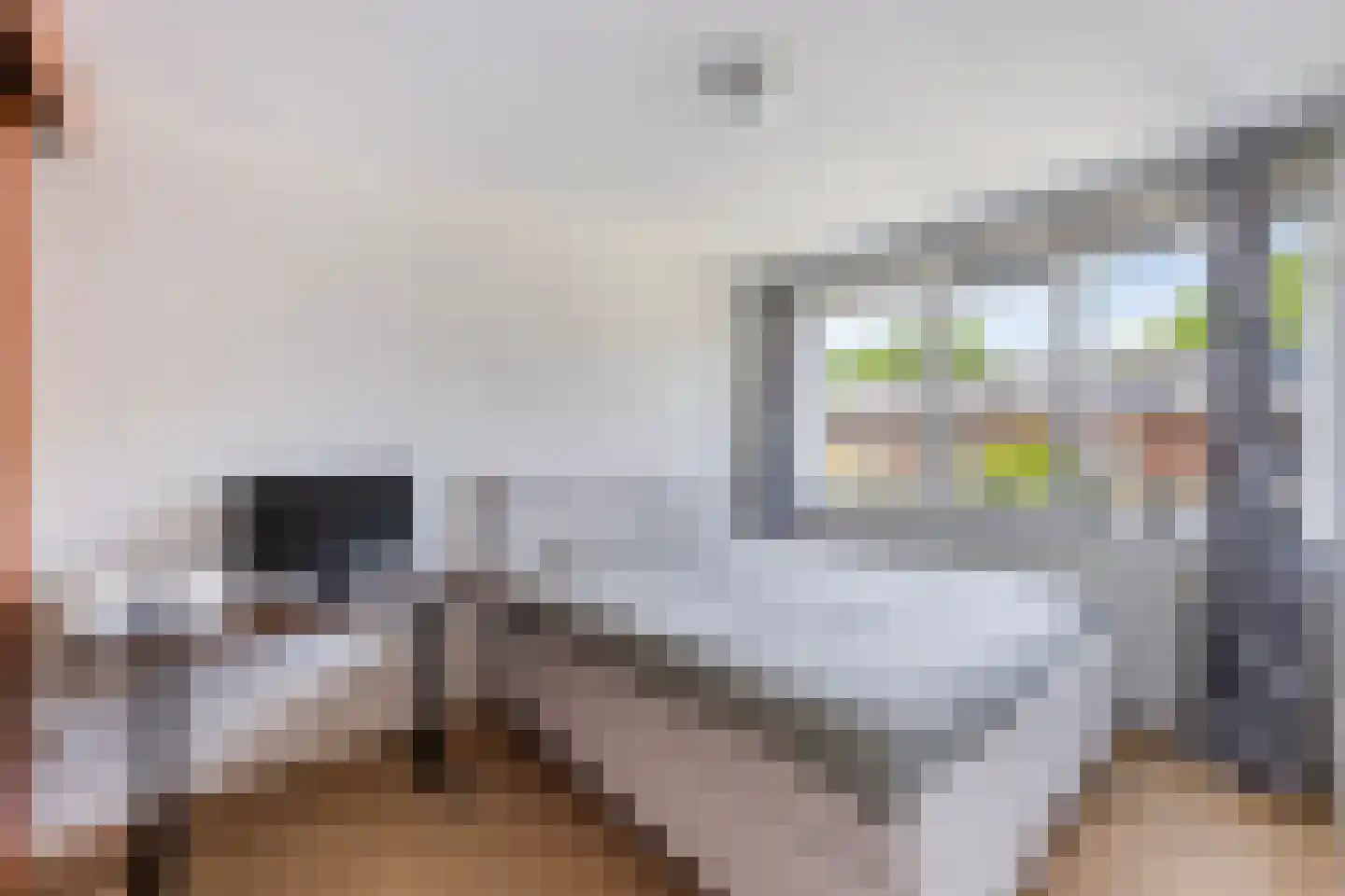 Traaipad 33 Zwolle thumbnail 20